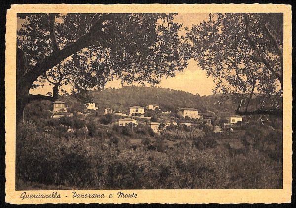 ac8166 - CARTOLINA D'EPOCA - Livorno Provincia - Quercianella