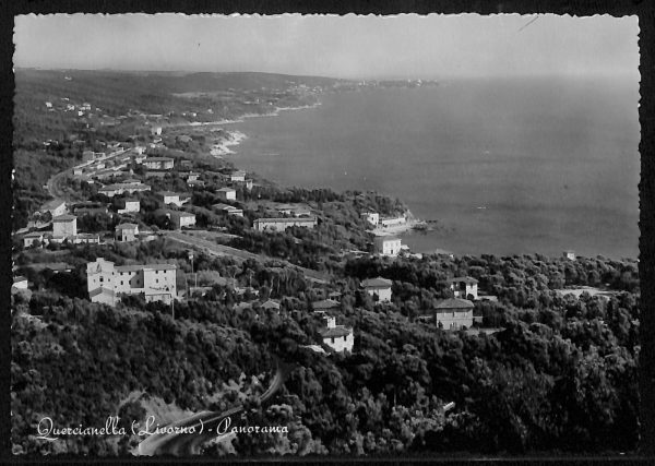 ac8168 - CARTOLINA D'EPOCA - Livorno Provincia - Quercianella  1953