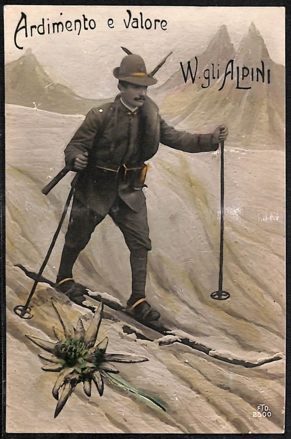 ac6868 - CARTOLINA D'EPOCA - REGGIMENTALI  -  Alpini  1916
