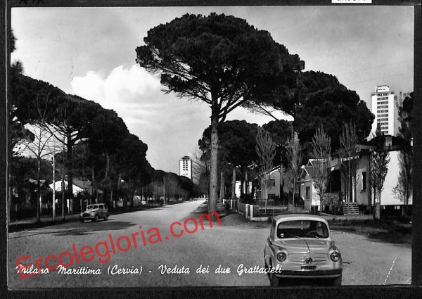 ah9377 - CARTOLINA D'EPOCA - Ravenna Provincia - Milano Marittima