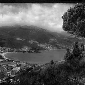 ac7661 - CARTOLINA D'EPOCA - Livorno Provincia - Isola D' Elba - Procchio
