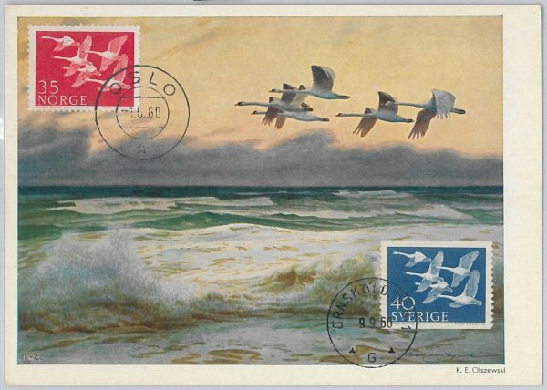 52583 - SWEDEN  / NORWAY -  MAXIMUM CARD - 1960  ANIMALS:  birds