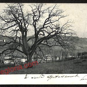 ag9294 - CARTOLINA D'EPOCA - Modena Città