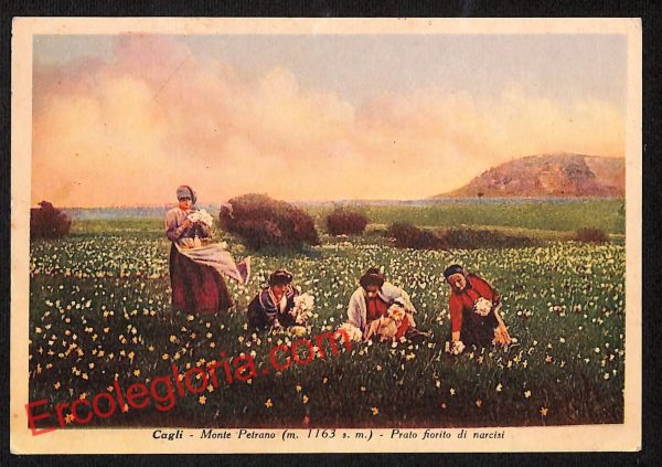 ah6622 - CARTOLINE  D'EPOCA - Pesaro e Urbino Provincia - Cagli