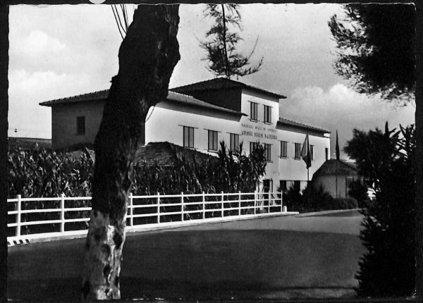 ac8268 - CARTOLINA D'EPOCA - Livorno Provincia - San Vincenzo