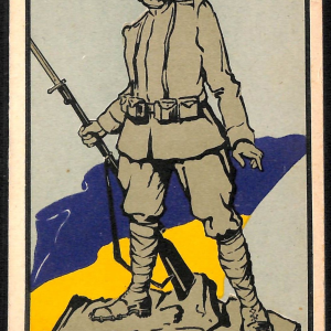 ac6888 - CARTOLINA D'EPOCA - REGGIMENTALI  - Alpini   1916