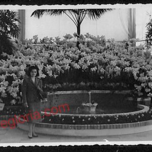 ag5048 - CARTOLINA D'EPOCA - Imperia Provincia - Sanremo