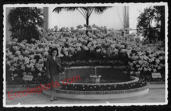 ag5048 - CARTOLINA D'EPOCA - Imperia Provincia - Sanremo