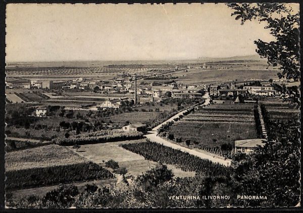 ac8332 - CARTOLINA D'EPOCA - Livorno Provincia - Venturina