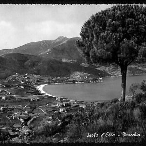 ac7663 - CARTOLINA D'EPOCA - Livorno Provincia - Isola D' Elba - Procchio