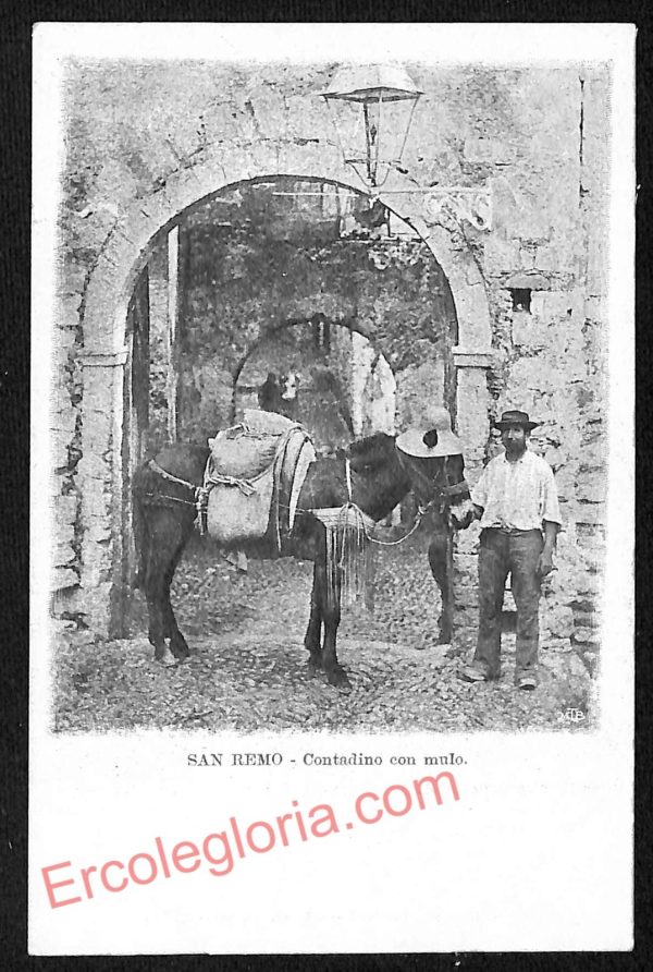 ag5066 - CARTOLINA D'EPOCA - Imperia Provincia - Sanremo