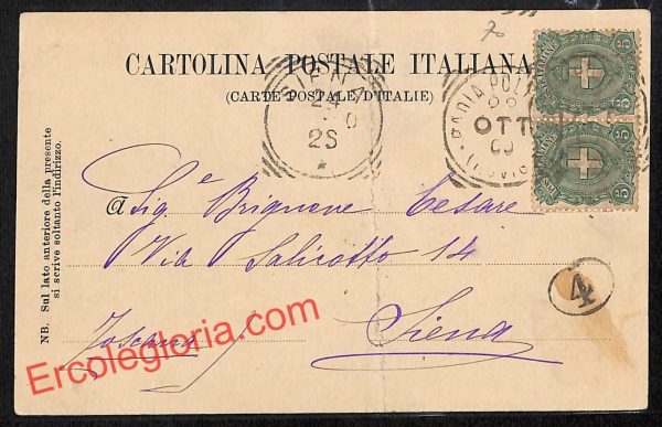ai1173 - CARTOLINA D'EPOCA - Rovigo Provincia - Badia Polesine - immagine 2