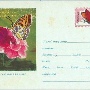67487 -  ROMANIA  - Postal History -  STATIONERY COVER - BUTTERFLY Butterflies