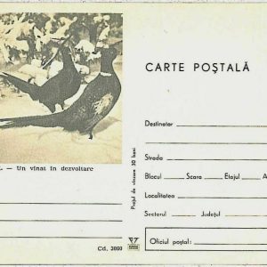 29207 - ROMANIA  - Postal History - STATIONERY COVER - BIRDS  Hunting