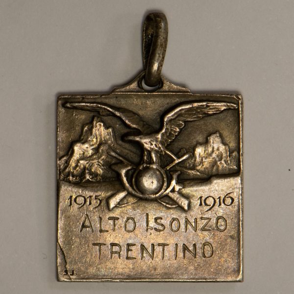 NA0231 - Medaglia Italia Alto Isonzo Trentino 1915-1916 - immagine 2