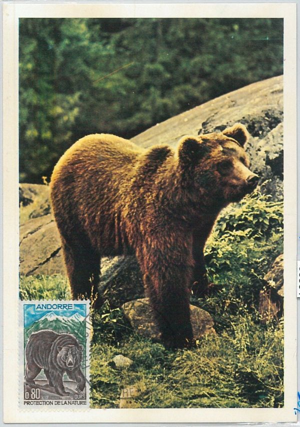 63364 -  FRENCH ANDORRA - POSTAL HISTORY: MAXIMUM CARD  -  ANIMALS: BEAR 1971