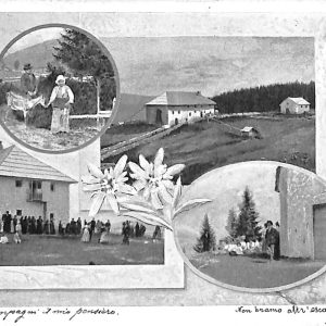 ab4213-  CARTOLINA  D'EPOCA - Vicenza  Provincia  -  Val d'Astico