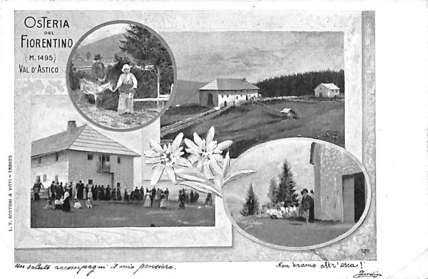 ab4213-  CARTOLINA  D'EPOCA - Vicenza  Provincia  -  Val d'Astico