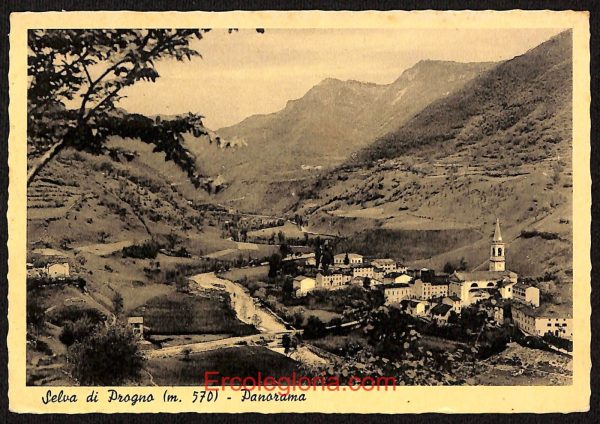 ae3035 - CARTOLINA  D'EPOCA - Verona Città - Selva di Progno