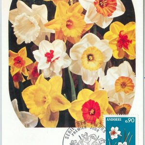 63376 -  FRENCH ANDORRA - POSTAL HISTORY: MAXIMUM CARD  -  FLOWERS   1974