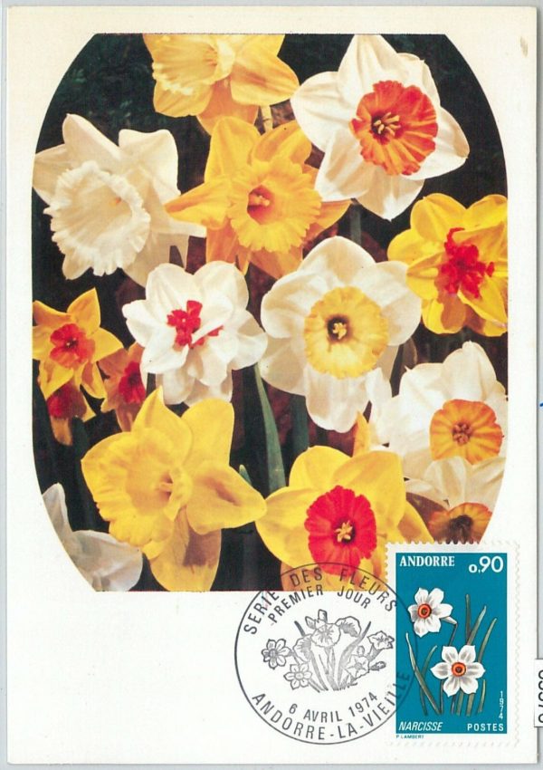 63376 -  FRENCH ANDORRA - POSTAL HISTORY: MAXIMUM CARD  -  FLOWERS   1974