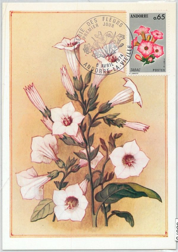 63375 -  FRENCH ANDORRA - POSTAL HISTORY: MAXIMUM CARD  -  FLOWERS   1974