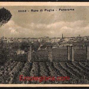 ae0864 - CARTOLINA  D'EPOCA - Bari Provincia - Ruvo di Puglia