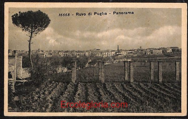 ae0864 - CARTOLINA  D'EPOCA - Bari Provincia - Ruvo di Puglia