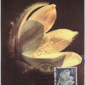 63360 -  SPANISH ANDORRA - POSTAL HISTORY: MAXIMUM CARD  -  FLOWERS 1966