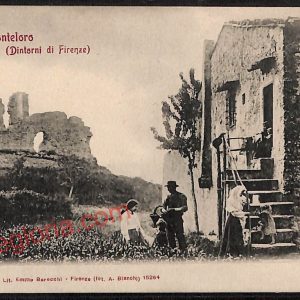 ae7806 - CARTOLINA D'EPOCA - Firenze Provincia - Monteloro