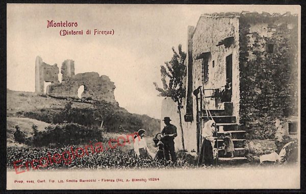 ae7806 - CARTOLINA D'EPOCA - Firenze Provincia - Monteloro