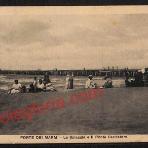 ag6559 - CARTOLINA D'EPOCA - Lucca Provincia - Forte dei Marmi