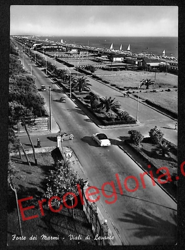 ag6571 - CARTOLINA D'EPOCA - Lucca Provincia - Forte dei Marmi