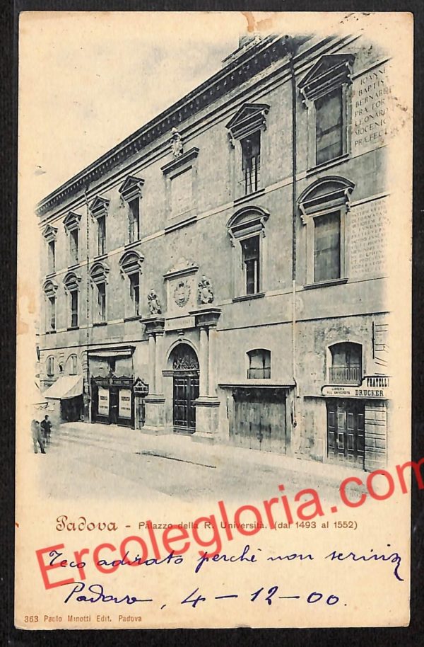 ah4346 - CARTOLINA D'EPOCA - Padova Città - Palazzo della R. Università