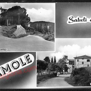 ae7881 - CARTOLINA D'EPOCA - Firenze Provincia - Lamole