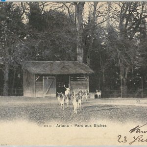 57500 -  SWITZERLAND Schweiz - Ansichtskarten VINTAGE  POSTCARD - GE Geneve 1903
