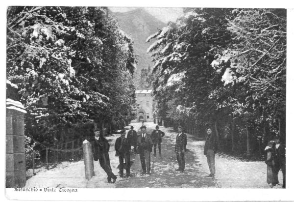P3075 - BISUSCHIO (VARESE) VILLA CICOGNA (INNEVATA!!!!)