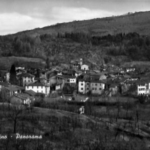 ab5205 -  CARTOLINA  D'EPOCA -  Varese Provincia  : MONTEGRINO  1955