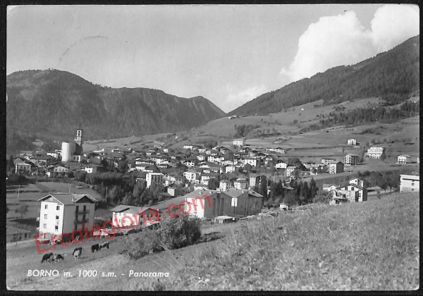 ae4247 - CARTOLINA D'EPOCA - Brescia Provincia - Borno   1965
