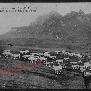 ae5781 - CARTOLINA D'EPOCA - Cuneo Provincia - Frabosa Soprana  1917