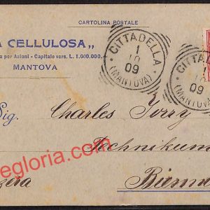 ag7694 - CARTOLINA D'EPOCA - Mantova Città - '' La Cellulosa''