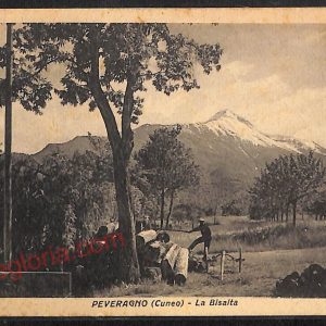 ae5835 - CARTOLINA D'EPOCA - Cuneo Provincia - Peveragno  1940