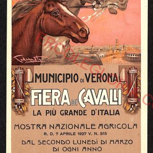 ae3201 - CARTOLINA  D'EPOCA - Verona Città - Fiera di Cavalli