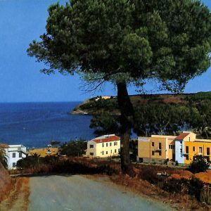 ac7711 - CARTOLINA D'EPOCA - Livorno Provincia - Isola D' Elba - Capoliveri