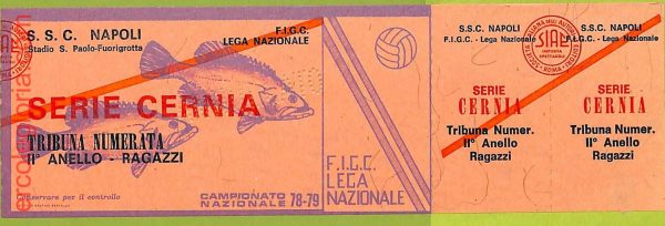 ZA1158 - Vecchio  BIGLIETTO PARTITA  CALCIO -  1978/1979: Napoli