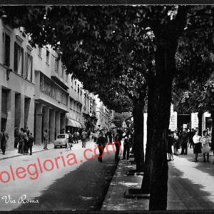 ag7790 - CARTOLINA D'EPOCA - Massa Carrara Città - Via Roma