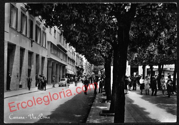 ag7790 - CARTOLINA D'EPOCA - Massa Carrara Città - Via Roma