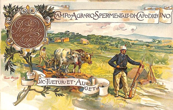 ab8143 - CARTOLINA  D'EPOCA - Napoli  Città