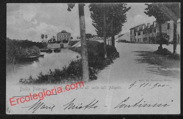 ah4471 - CARTOLINA D'EPOCA - Padova Provincia - Badia Polesine