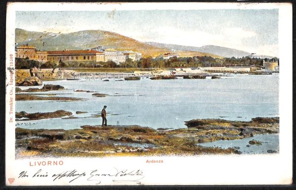 73335 - CARTOLINA D'EPOCA - Livorno Città - 1903